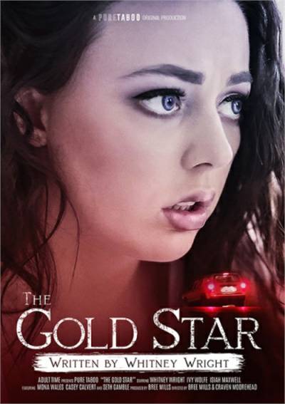 The Gold Star cover