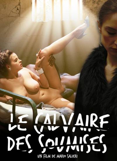 The Calvary Of Submissive 2 cover