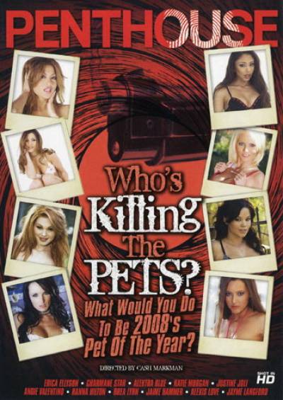 Who's Killing The Pets cover