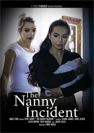 The Nanny Incident cover