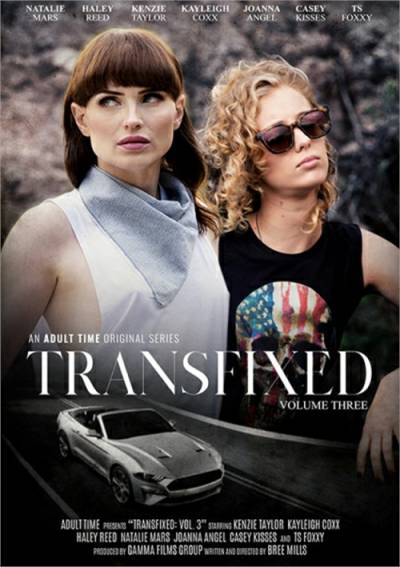 Transfixed 3 (Трансфиксд 3) обложка